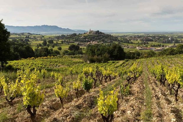 en AOC Chassagne-Montrachet 1er Cru